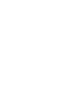Surf Yeti