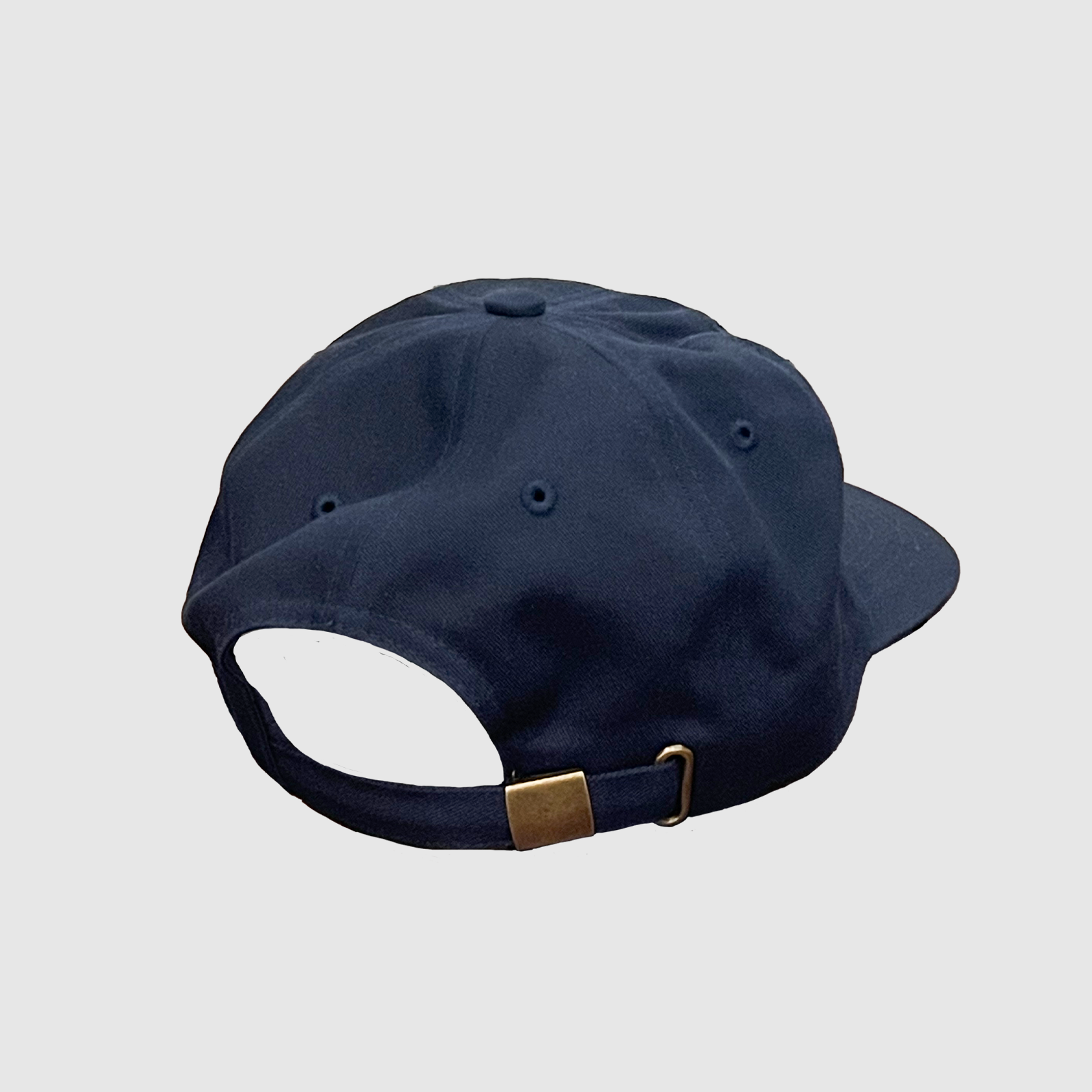Why Not Navy 6 panel